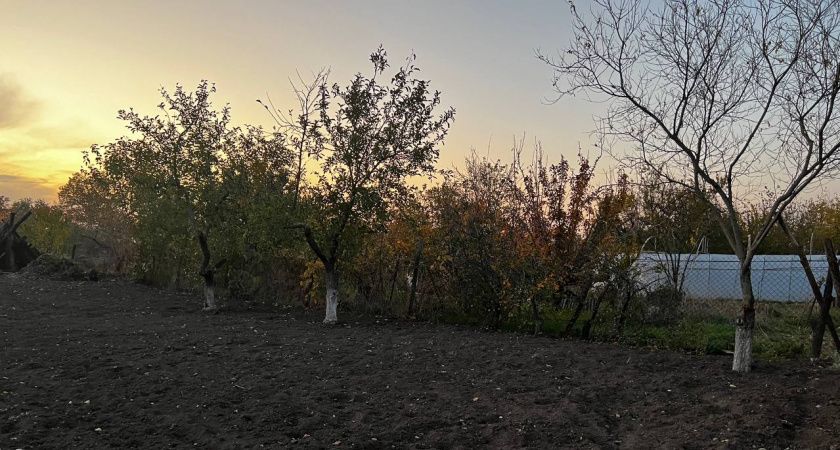 Заброшенные участки: владельцам пора действовать Заброшенные участки: владельцам пора действовать