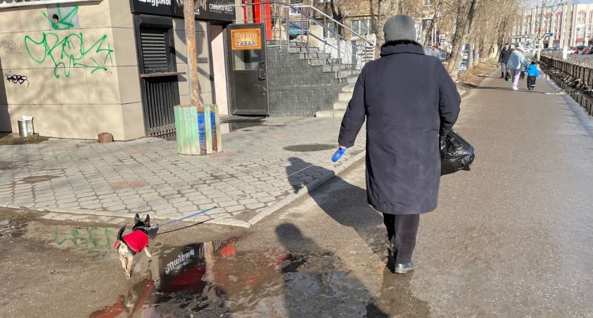 Климатический сюрприз: Гидрометцентр предупреждает о возвращении зимы Климатический сюрприз: Гидрометцентр предупреждает о возвращении зимы