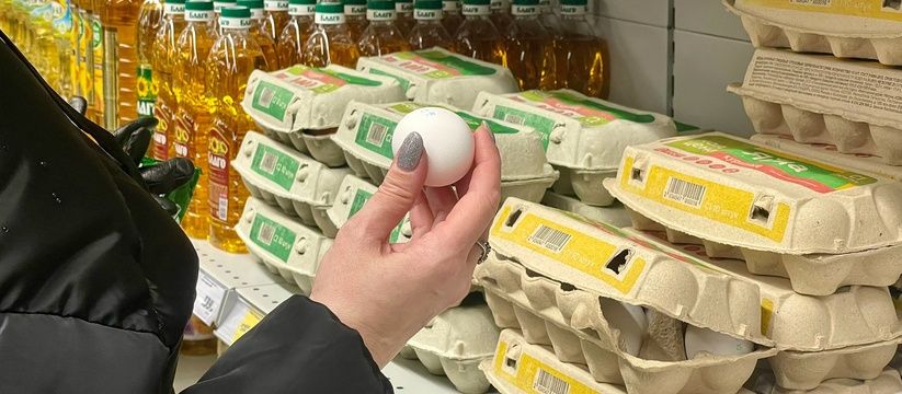 Секреты выбора яиц: что нужно знать при покупке Секреты выбора яиц: что нужно знать при покупке