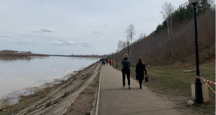 Как дачникам подготовиться к непредсказуемому лету 2025 года Как дачникам подготовиться к непредсказуемому лету 2025 года