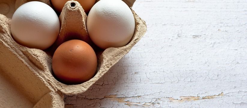 Кому стоит задуматься о куриных яйцах: неожиданные противопоказания Кому стоит задуматься о куриных яйцах: неожиданные противопоказания