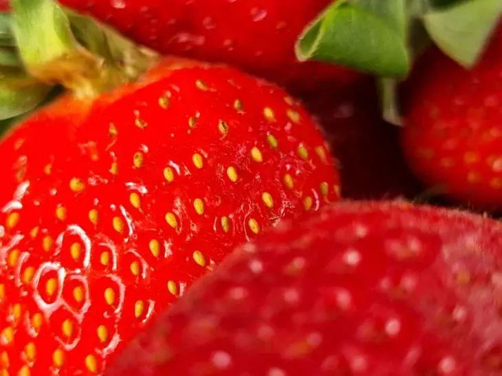 Секрет долгого хранения клубники: как сохранить свежесть ягод на две недели Секрет долгого хранения клубники: как сохранить свежесть ягод на две недели