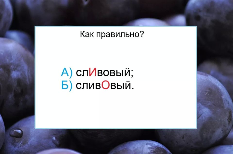 Где поставить ударение в слове «сливовый»? Проверь свою грамотность! Где поставить ударение в слове «сливовый»? Проверь свою грамотность!