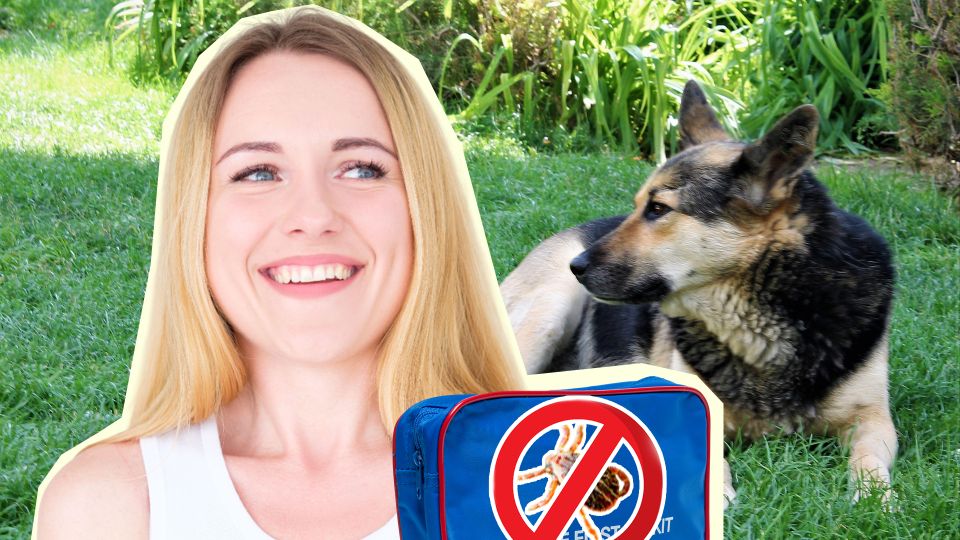 Бюджетное средство от клещей: что использовать вместо дорогих спреев Бюджетное средство от клещей: что использовать вместо дорогих спреев