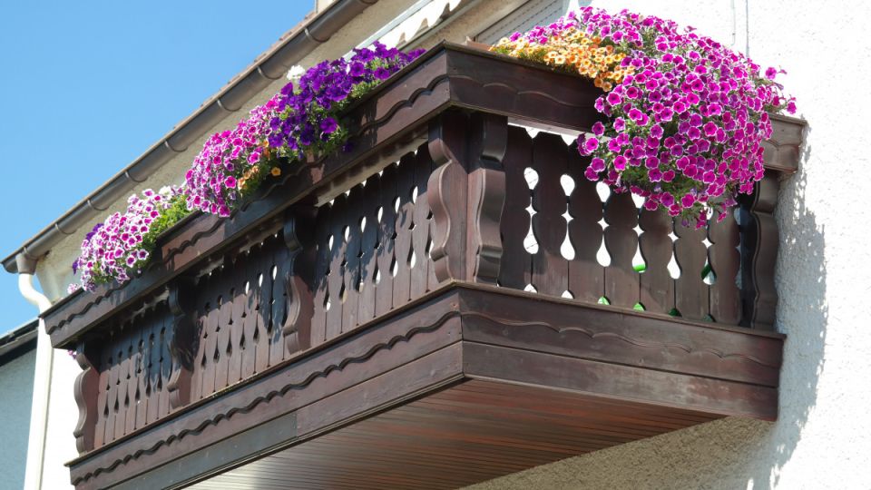 Какие цветы посадить на балконе летом: личный опыт Какие цветы посадить на балконе летом: личный опыт