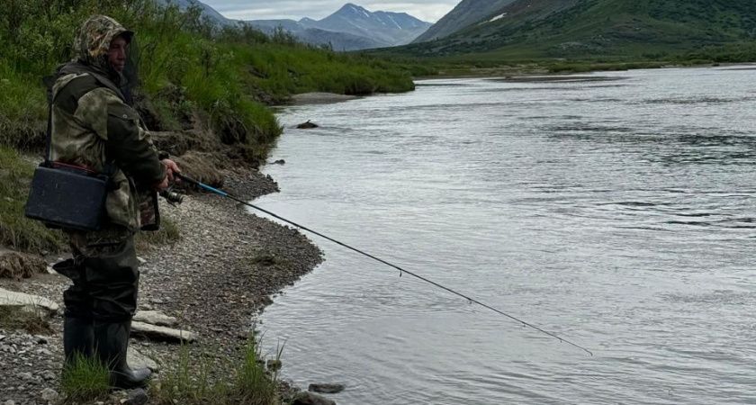 Три приманки, которые гарантированно привлекут карпа Три приманки, которые гарантированно привлекут карпа