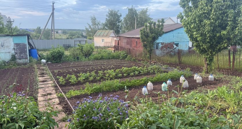 Как защитить древесину на даче без краски: простой и бюджетный способ Как защитить древесину на даче без краски: простой и бюджетный способ
