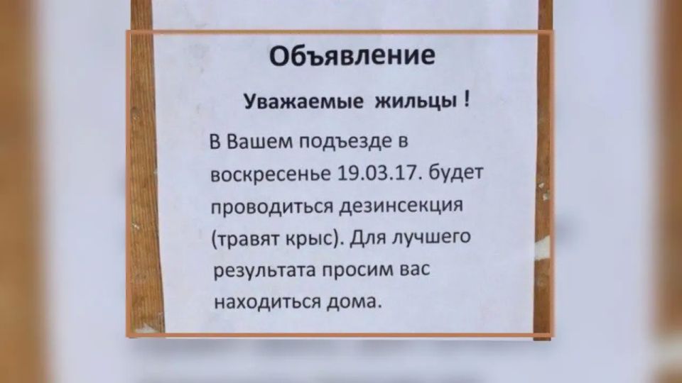 Смешные объявления: находки для поднятия настроения Смешные объявления: находки для поднятия настроения