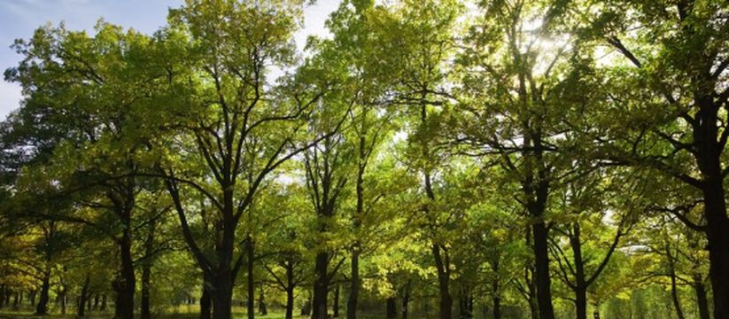 Когда в Самарскую область вернётся настоящее лето?
