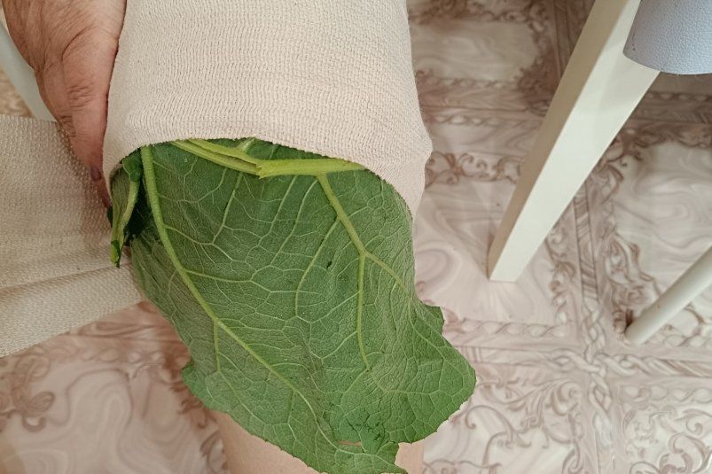Лопух — природное лекарство для суставов