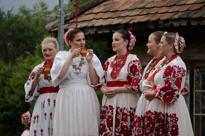 Летняя свадьба: почему природа благоволит союзам в жару
