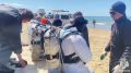 МЧС России продолжает активные меры по очистке Керченского пролива