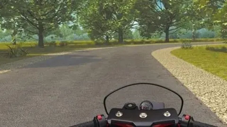   :       