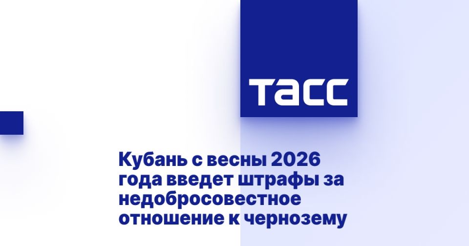  2026          