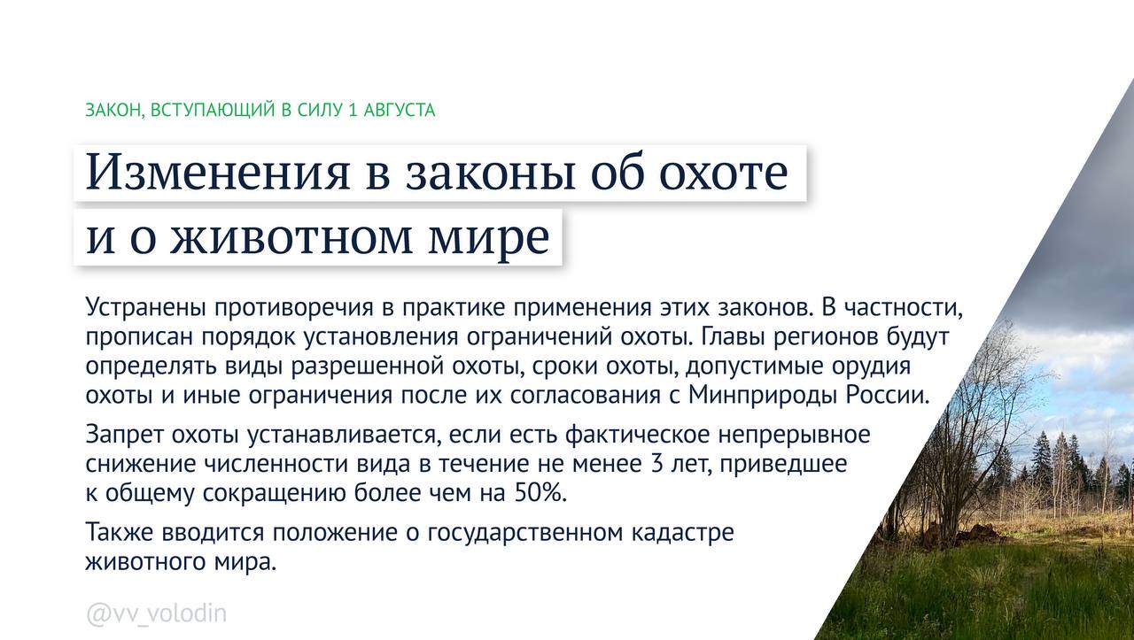Вячеслав Володин: Какие законы вступают в силу в августе Вячеслав Володин: Какие законы вступают в силу в августе