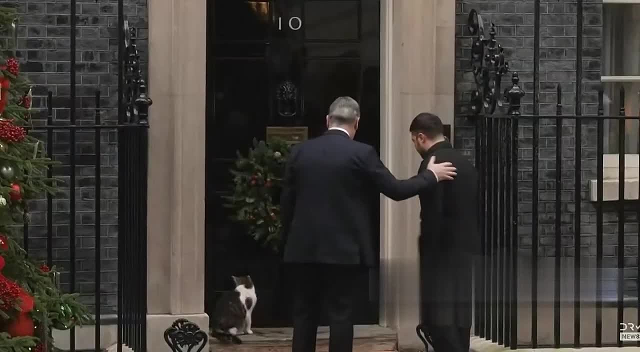 Олег Царёв: Видео дня: главный кот Британии Ларри не захотел зайти в дом вместе с Зеленским