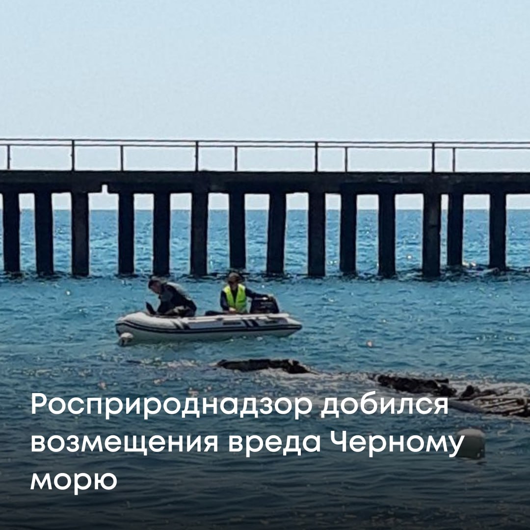 Черноморо-Азовское морское управление Росприроднадзора добилось полного взыскания ущерба, причиненного Черному морю после затопления судна у берегов Туапсе