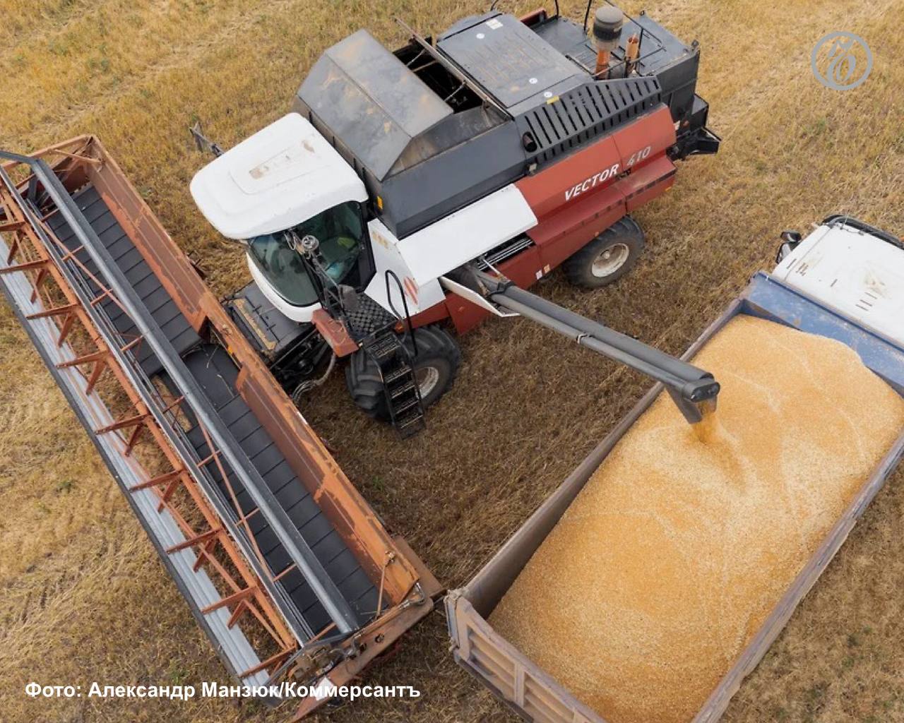 Рекордный сбор зерна на Ставрополье компенсировал неурожай соседних регионов