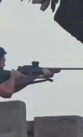 Алексей Живов: Один из исламских террористов в Австралии, где накануне были убиты десятки евреев