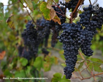 �������� �������� � ���� � ������ ����� 1,5 ��� �������� ���������