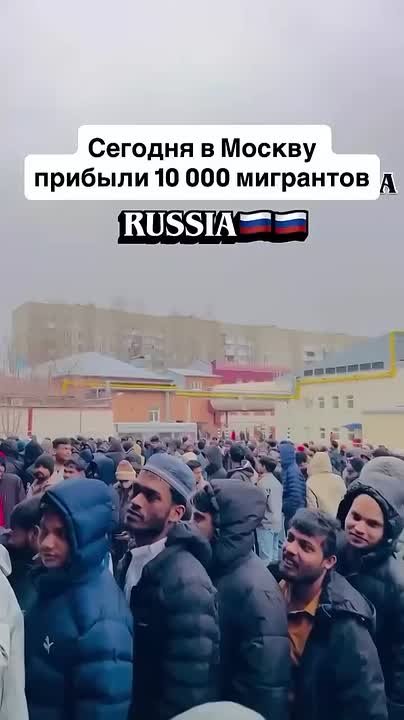 Алексей Живов: В Россию прибыли первые мигранты из Индии